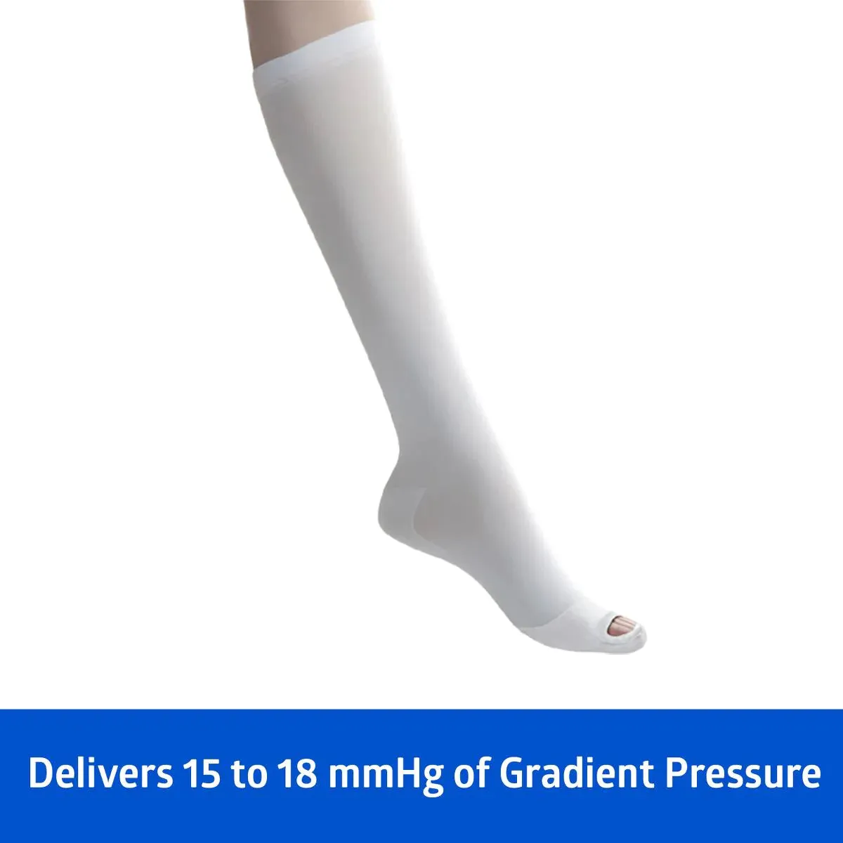 Knee Length Anti-Embolism Stocking, Large, Regular