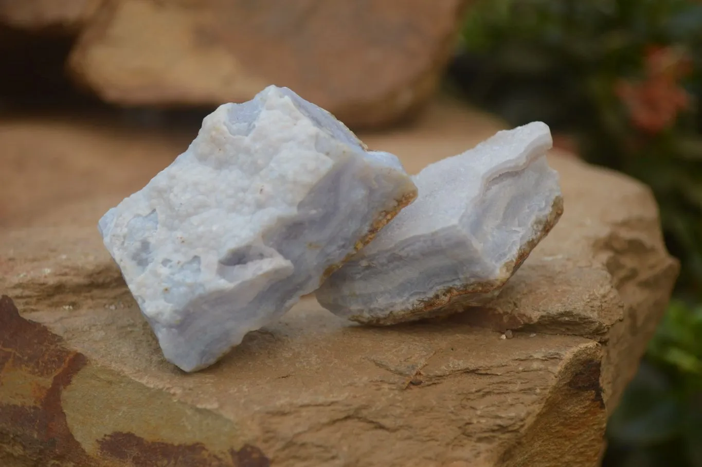 Natural Crystalline Blue Lace Agate Specimens x 12 From Namibia.