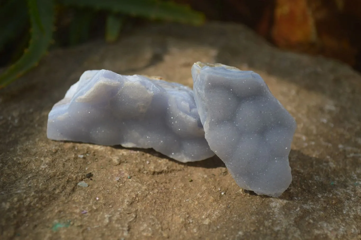 Natural Crystalline Blue Lace Agate Specimens x 12 From Namibia.