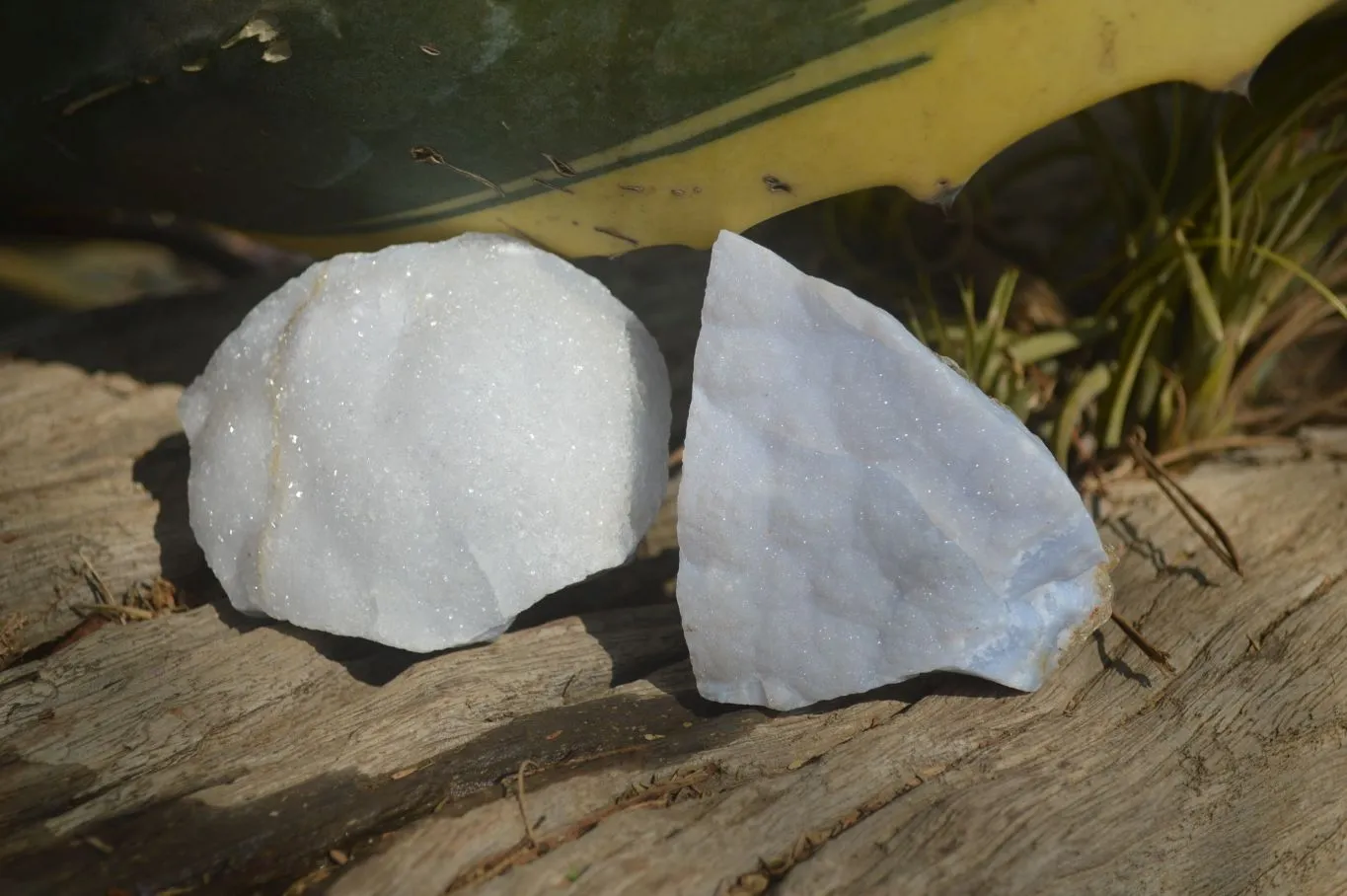 Natural Crystalline Blue Lace Agate Specimens x 12 From Namibia.