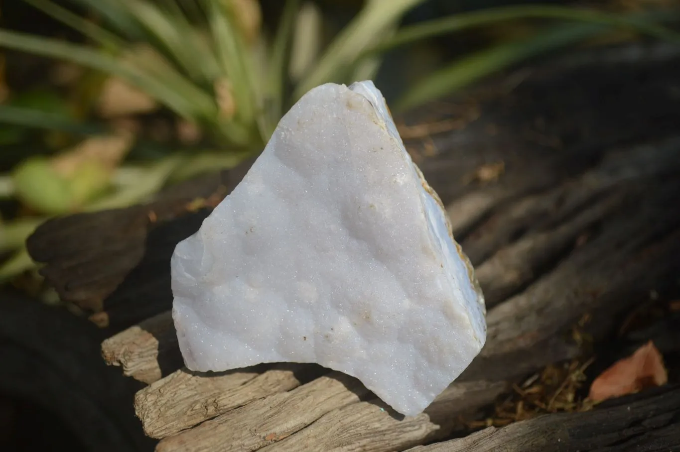 Natural Crystalline Blue Lace Agate Specimens x 12 From Namibia.