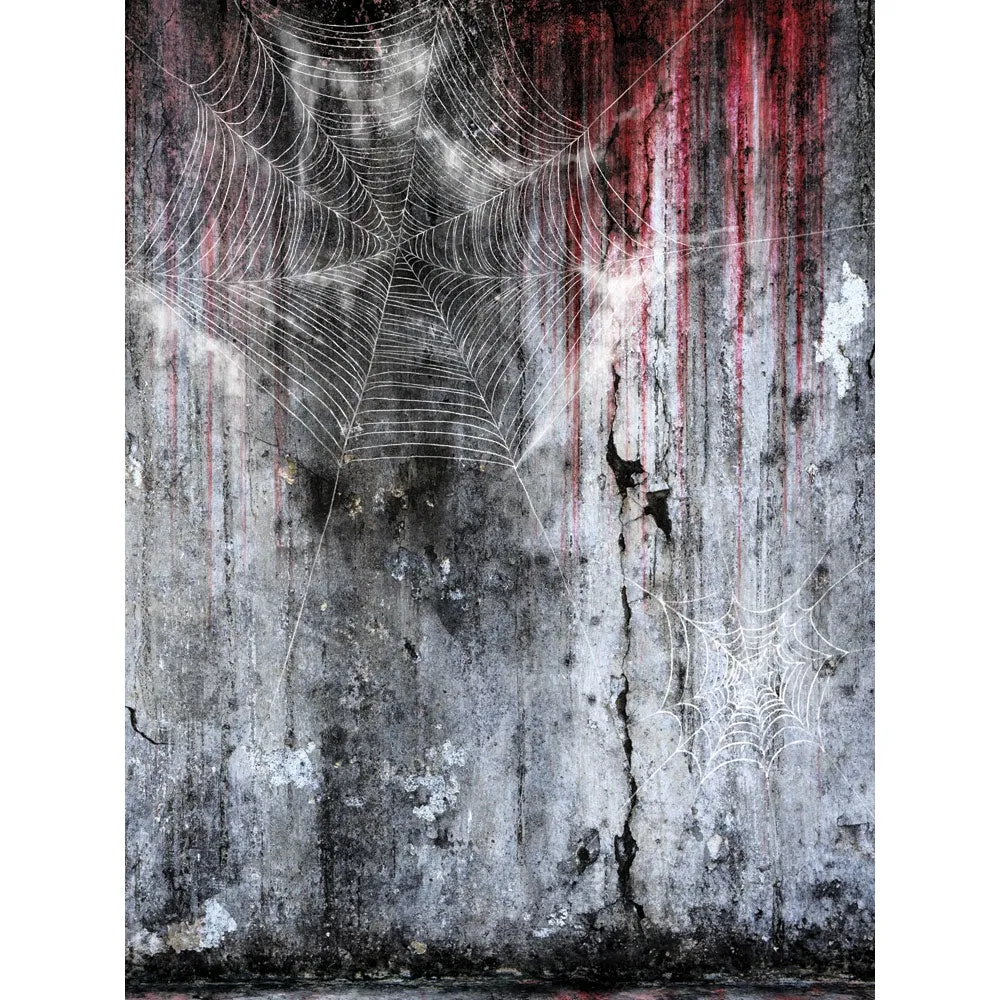 Spider Web Grunge Printed Backdrop