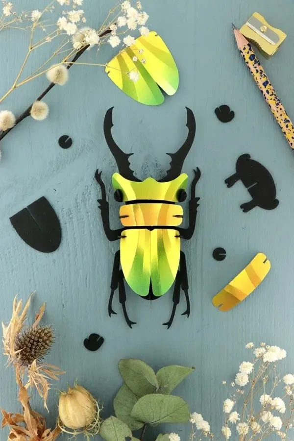 Stag Beetle Kit