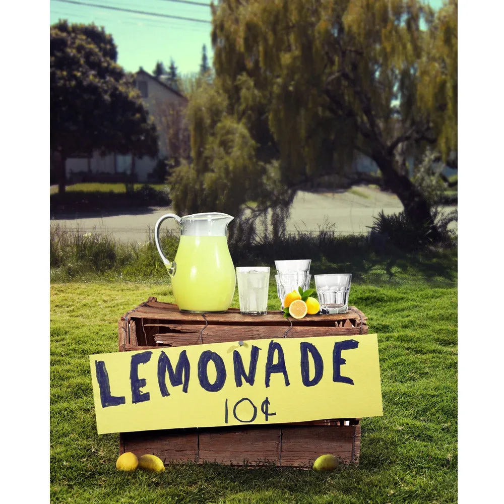 Summer Lemonade Stand Printed Backdrop