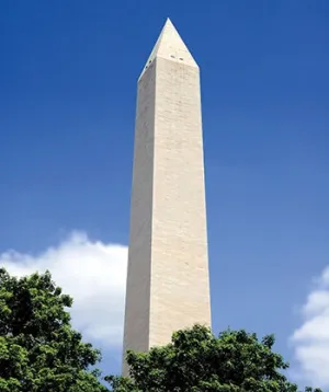 Washington Monument Scenic Printed Backdrop (View 1)